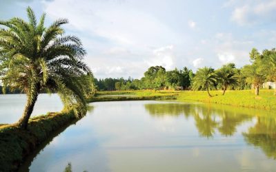 ৫০০ বছরের সাক্ষী জয়সাগর দিঘি