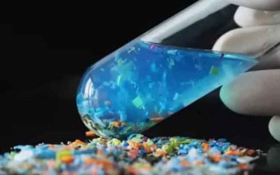 মানব শুক্রাণু ও ডিম্বাণুতে মিলেছে প্লাস্টিক কণার উপস্থিতি: গবেষণা