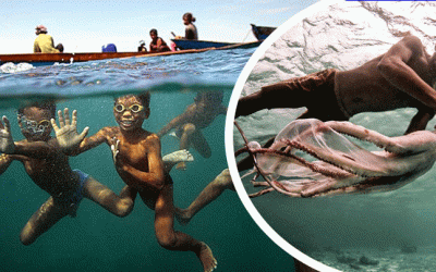 অক্সিজেন মাস্ক ছাড়াই ১৩ মিনিট পানির নিচে থাকতে পারেন তারা