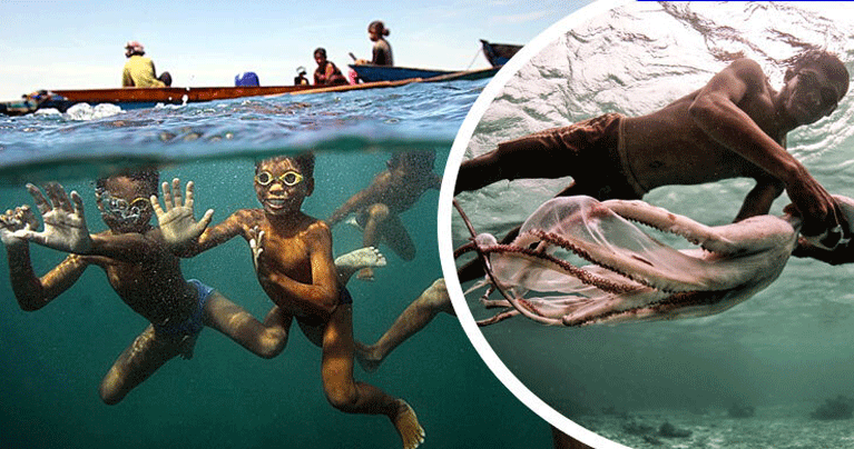 অক্সিজেন মাস্ক ছাড়াই ১৩ মিনিট পানির নিচে থাকতে পারেন তারা