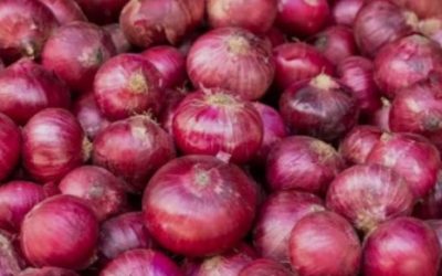 সীমিত আকারে পেঁয়াজ আমদানির অনুমোদন