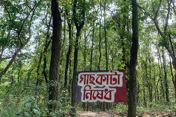 প্রথমবারের মতো জারি হলো ‘বন ও বৃক্ষ সংরক্ষণ অধ্যাদেশ, ২০২৬’